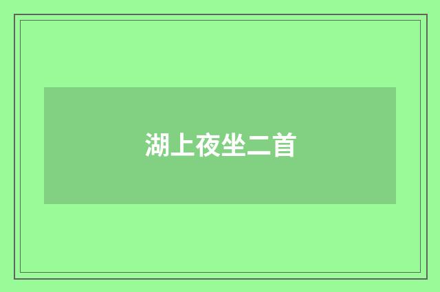 湖上夜坐二首