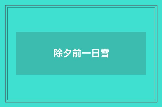 除夕前一日雪