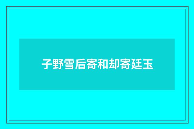 子野雪后寄和却寄廷玉