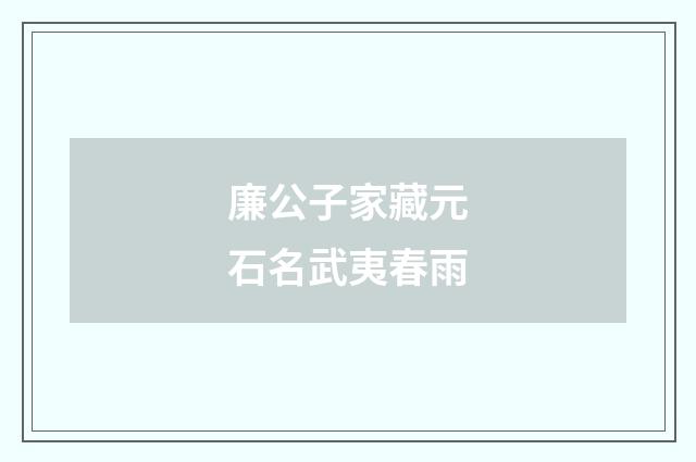 廉公子家藏元石名武夷春雨