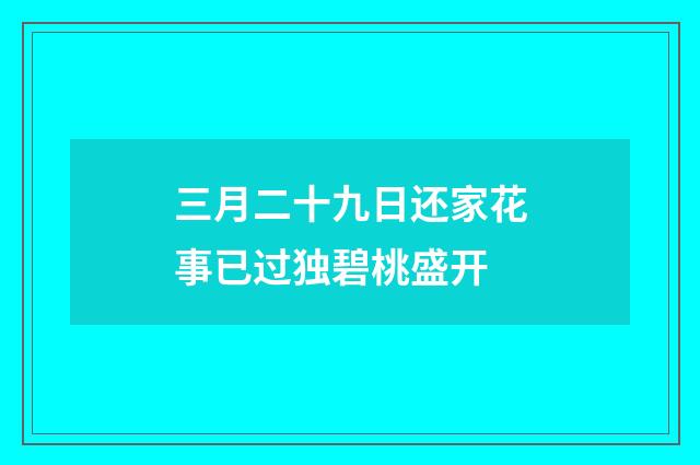 三月二十九日还家花事已过独碧桃盛开