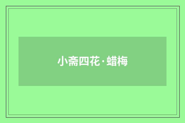 小斋四花·蜡梅