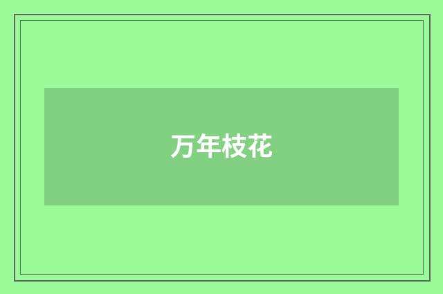 万年枝花