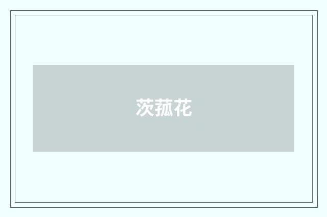 茨菰花