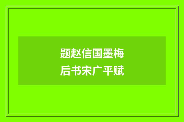 题赵信国墨梅后书宋广平赋