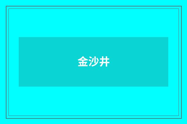 金沙井