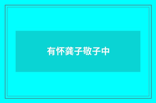 有怀龚子敬子中