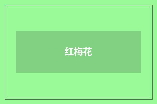 红梅花