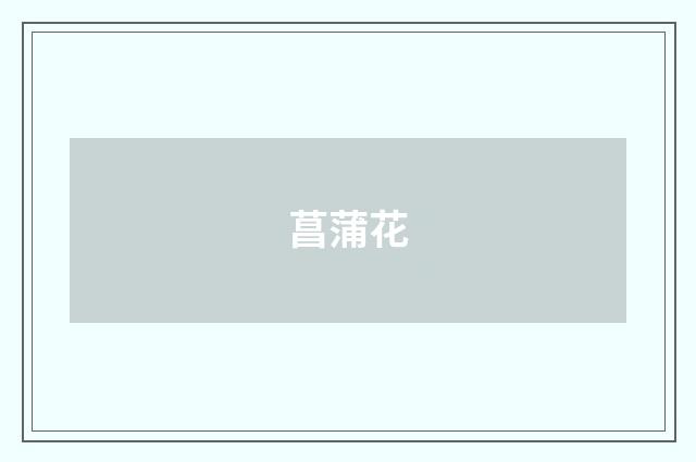 菖蒲花