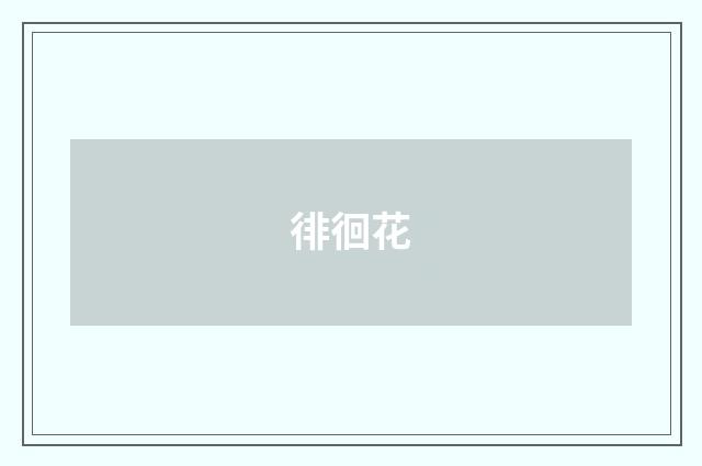 徘徊花