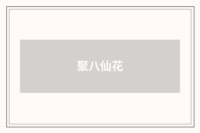 聚八仙花
