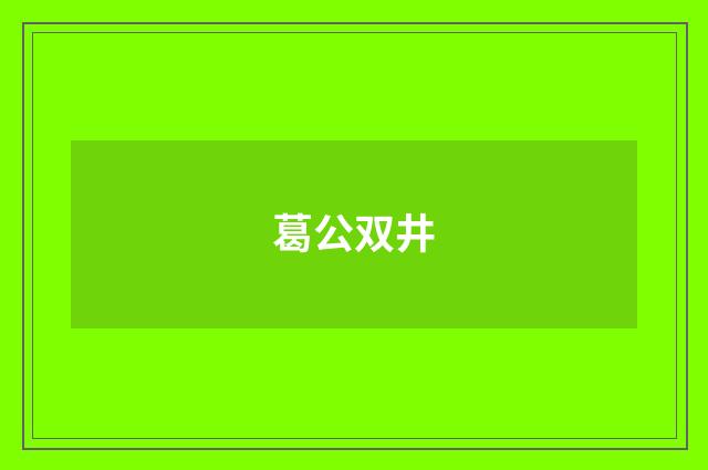 葛公双井