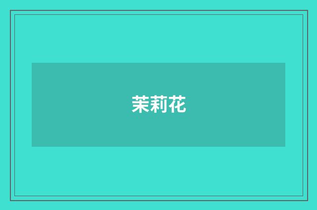 茉莉花