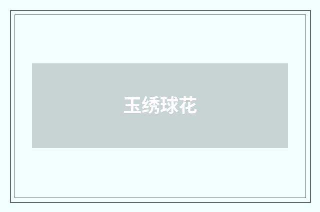 玉绣球花