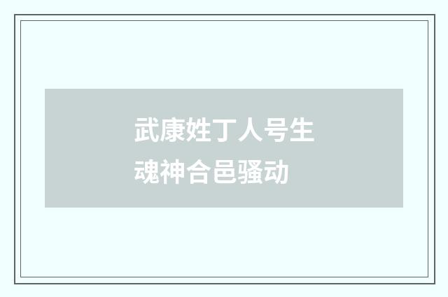 武康姓丁人号生魂神合邑骚动