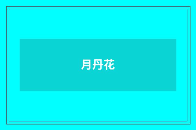 月丹花