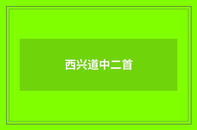 西兴道中二首