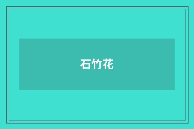 石竹花