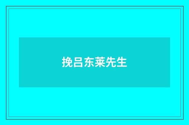 挽吕东莱先生