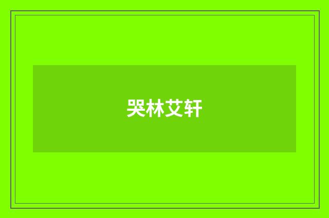 哭林艾轩