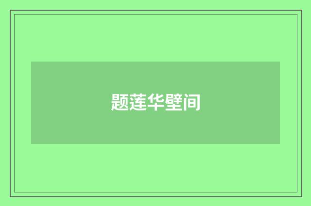 题莲华壁间