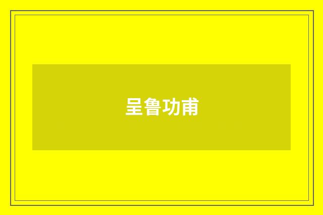 呈鲁功甫