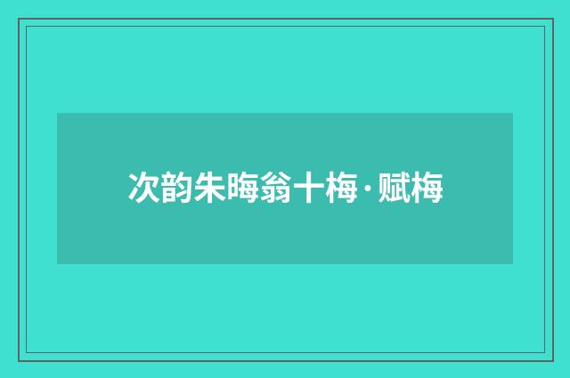次韵朱晦翁十梅·赋梅