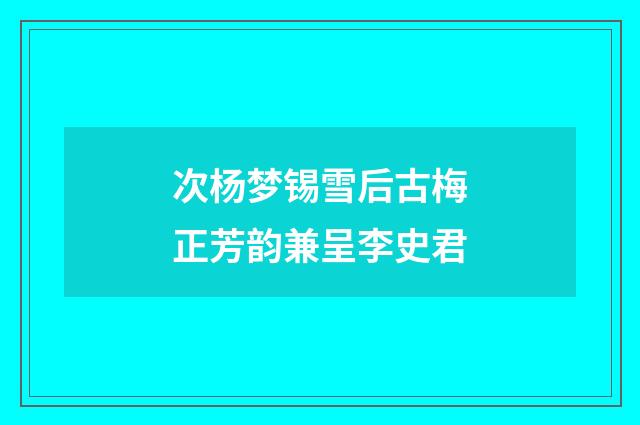 次杨梦锡雪后古梅正芳韵兼呈李史君