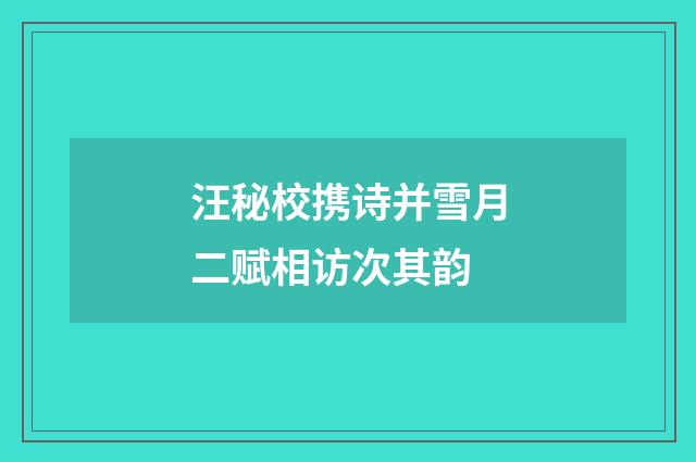 汪秘校携诗并雪月二赋相访次其韵
