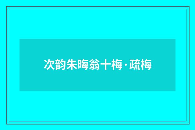 次韵朱晦翁十梅·疏梅