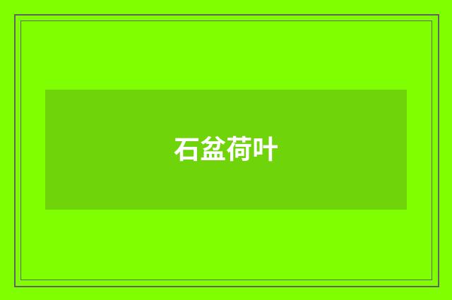 石盆荷叶