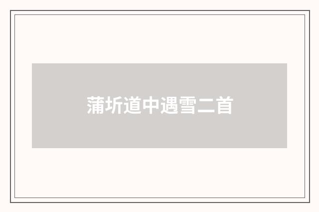 蒲圻道中遇雪二首