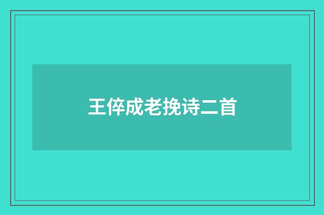 王倅成老挽诗二首
