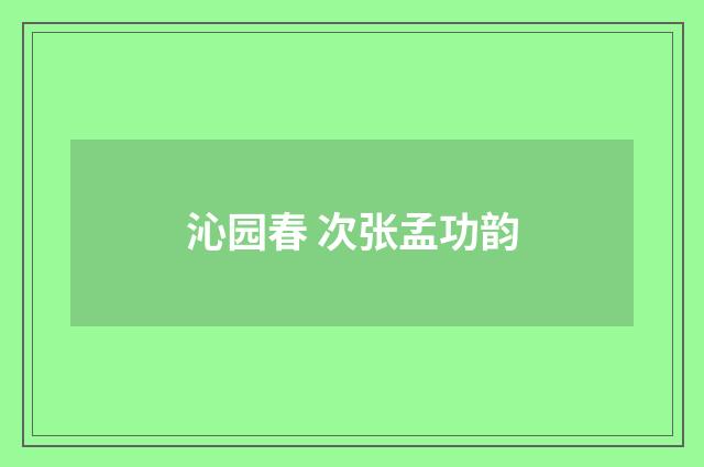 沁园春 次张孟功韵