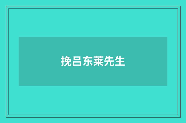 挽吕东莱先生
