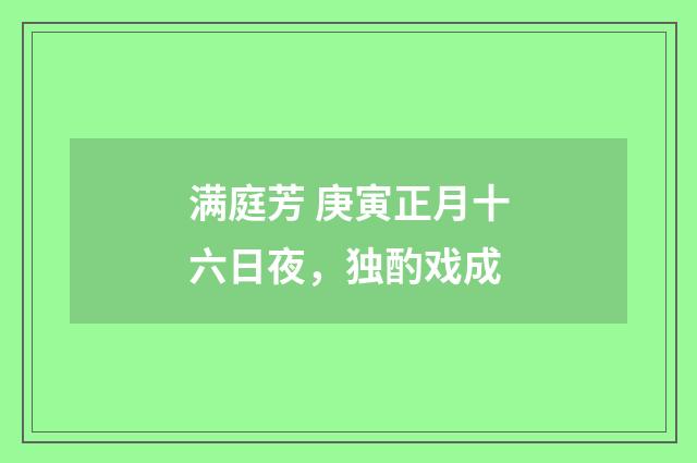 满庭芳 庚寅正月十六日夜，独酌戏成