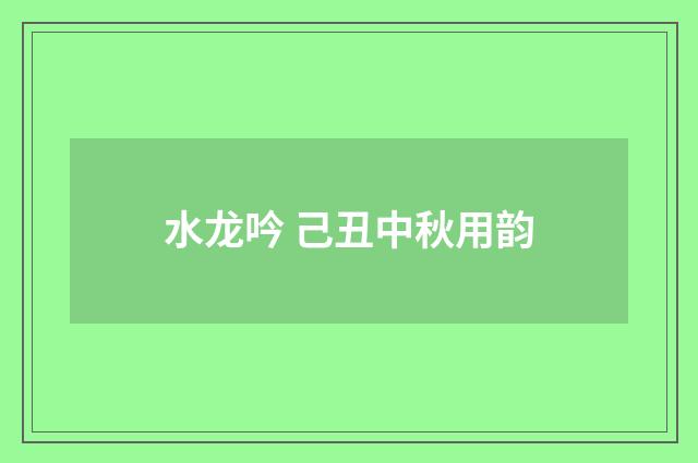 水龙吟 己丑中秋用韵