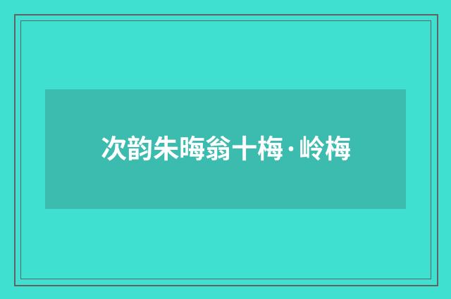 次韵朱晦翁十梅·岭梅