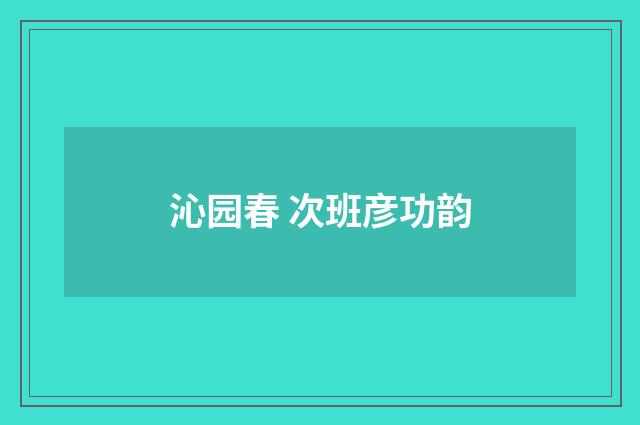沁园春 次班彦功韵