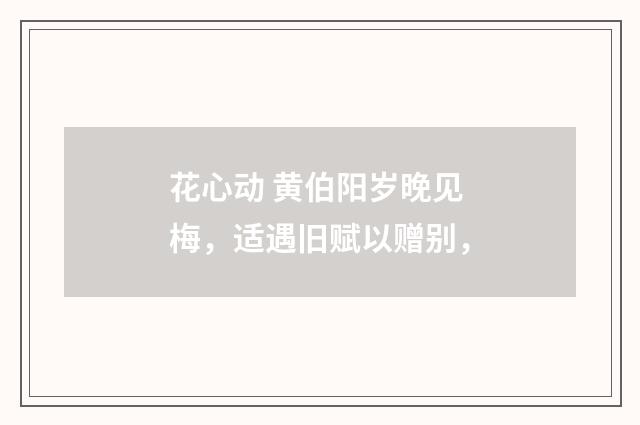 花心动 黄伯阳岁晚见梅，适遇旧赋以赠别，