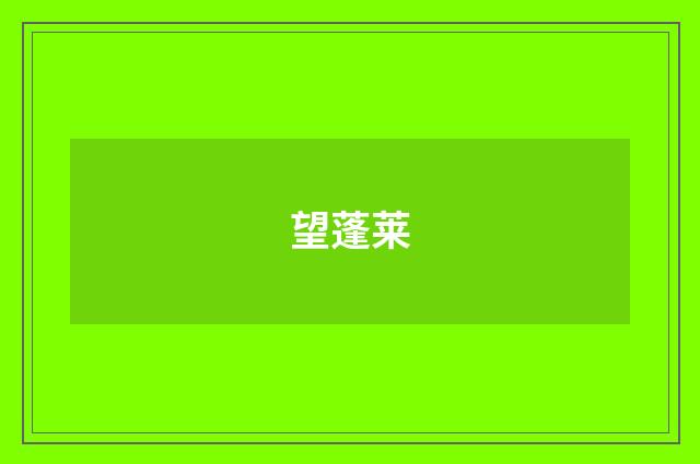 望蓬莱