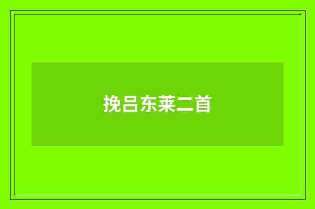 挽吕东莱二首