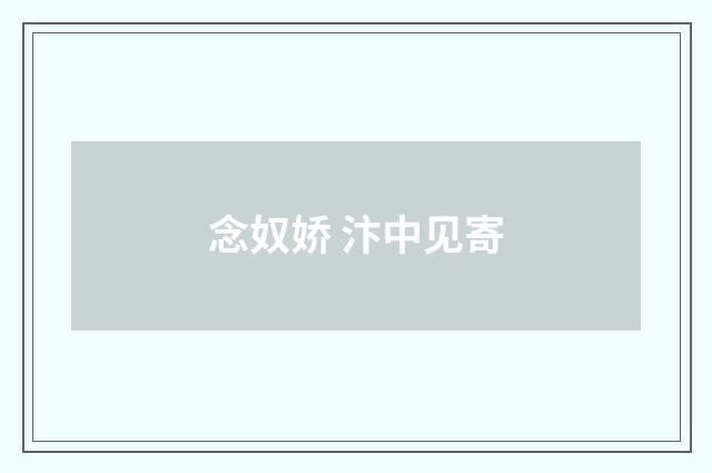 念奴娇 汴中见寄