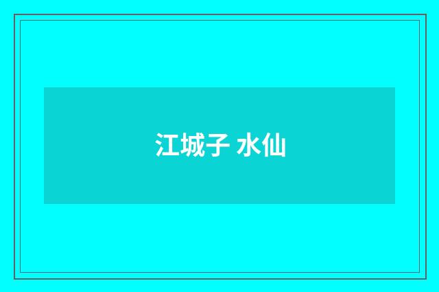 江城子 水仙