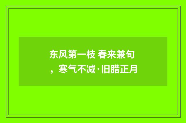 东风第一枝 春来兼旬，寒气不减·旧腊正月