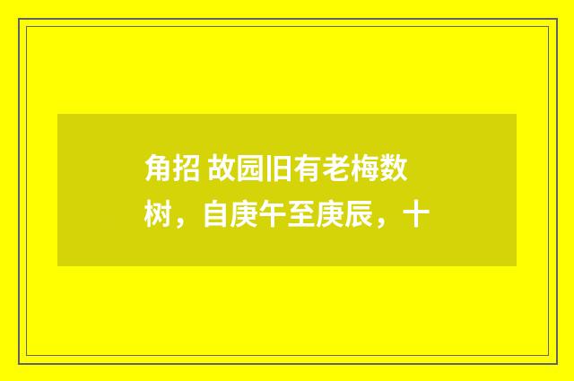 角招 故园旧有老梅数树，自庚午至庚辰，十