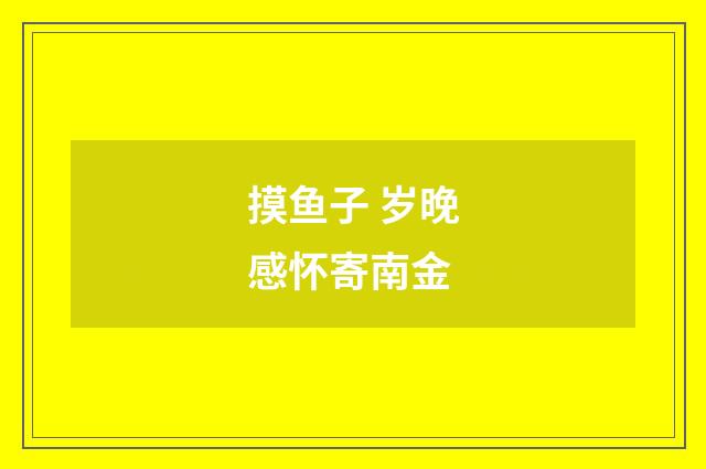摸鱼子 岁晚感怀寄南金