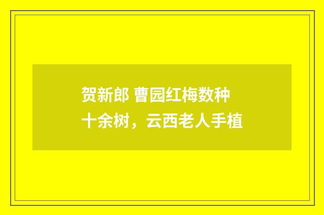 贺新郎 曹园红梅数种十余树，云西老人手植