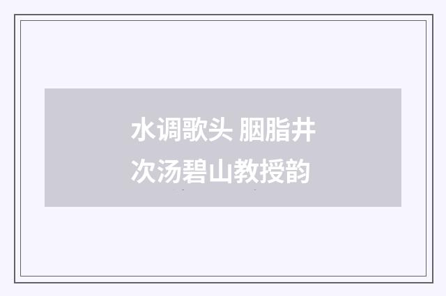 水调歌头 胭脂井次汤碧山教授韵