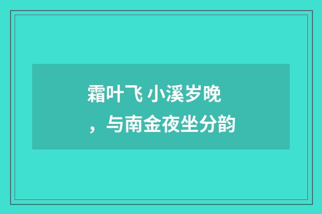 霜叶飞 小溪岁晚，与南金夜坐分韵